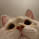avatar Mita