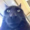 nhwww