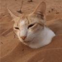 avatar urolciok 🪵