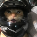 avatar 𝚂𝚒𝚖𝚘𝚗