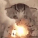 w00my_#8868's avatar