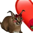 idcthatyoubrokeyourelbow avatar