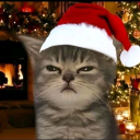 avatar Char char 🔱