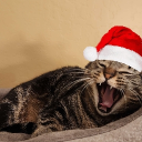 dragonhunter0465#9089's avatar