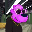 elibrappbrapp