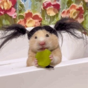 avatar Sad sus but ok :):