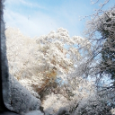 avatar Bumlickingfannyyyy