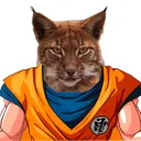 dangrills4935