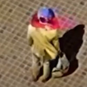 avatar thisdudehasgonetoofarforagirl