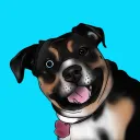 homedog6128