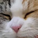 sera_1005