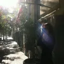 soho34.