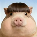 johnpig