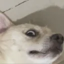 rtgskx