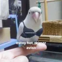 veeyfoster3474 avatar
