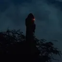 archawake