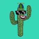coolcactusclub