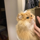 avatar 𝔖𝔬𝔲𝔩𝔧𝔵