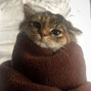 avatar 𝔖𝔬𝔲𝔩𝔧𝔵