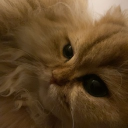 avatar 𝔖𝔬𝔲𝔩𝔧𝔵