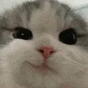 xiera_zet