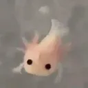 tashiscool