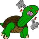 turtlehedz