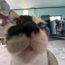 kuy_0o0