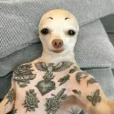 kuy_0o0