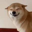 avatar gà rán chô li bi