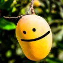 anaveragemango12