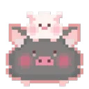black_pig_pig