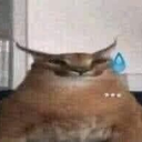 avatar Ngoc可爱🐟