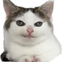 lalalanata