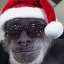 Аватар abezyana