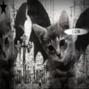 dracoo999
