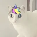 lakeyy_cinnamonrolll