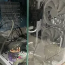 squidender