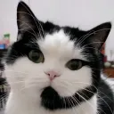 moyugame