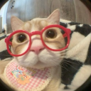 avatar ᵈ♡ⁿⁱ ୨୧