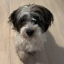 not_bobby_
