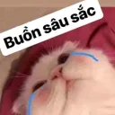 dinottraan_.