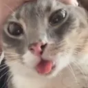 beegboss1919