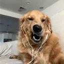 hmmm_retrix