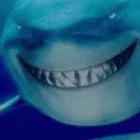 fishyjd