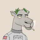 dc0001