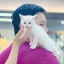 merepro