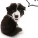ama.ze