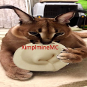 mir_myin member profile picture