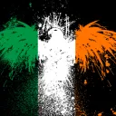 irishguyusa
